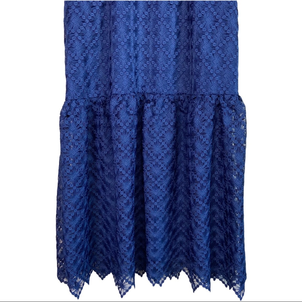 Antonio Melani Bella Navy Lace Midi Dress - Picture 5 of 10
